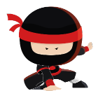 Avcom Ninja